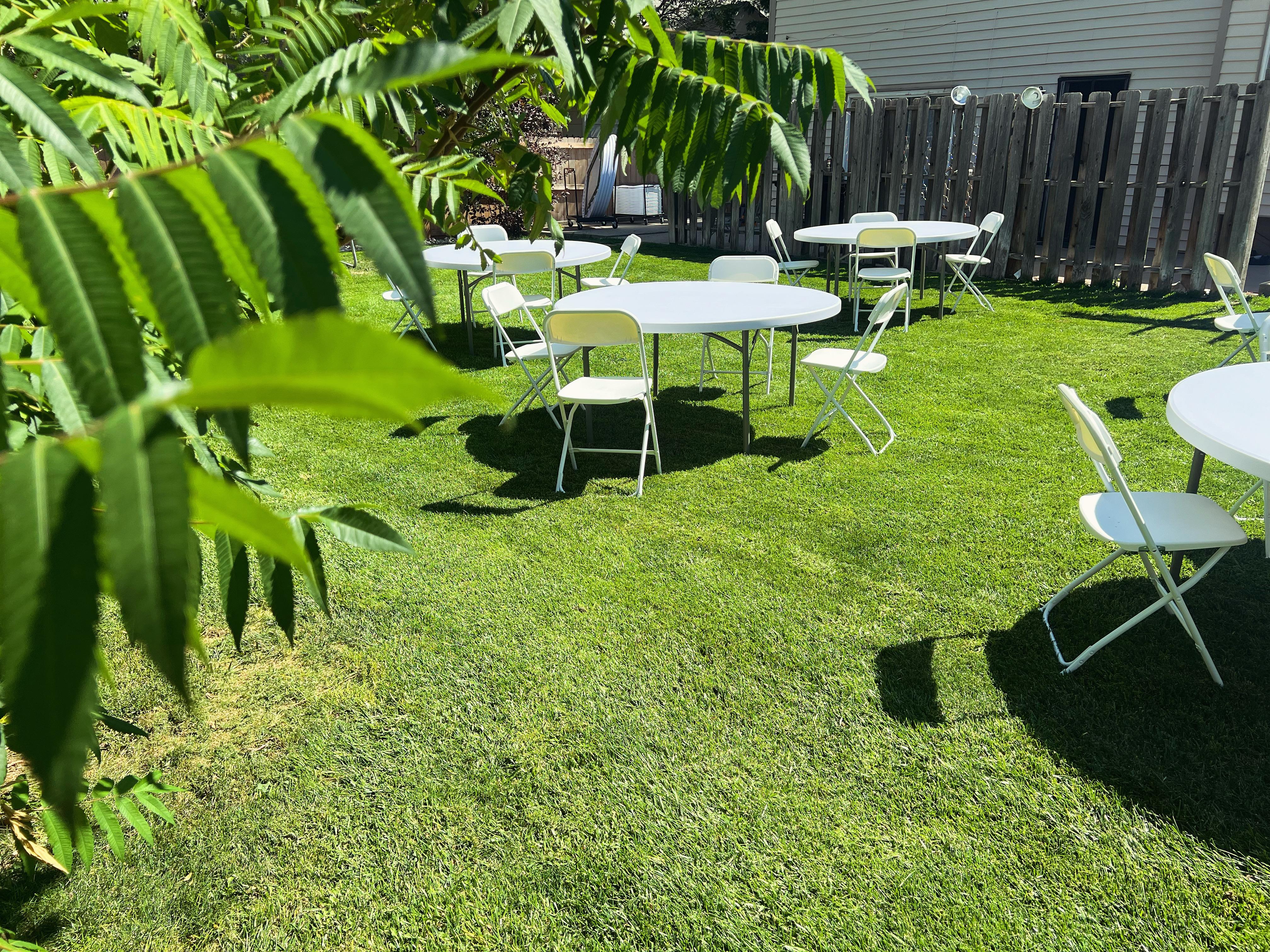 How to Host a Backyard Family Reunion in Denver: Planning Guide for Large Groups