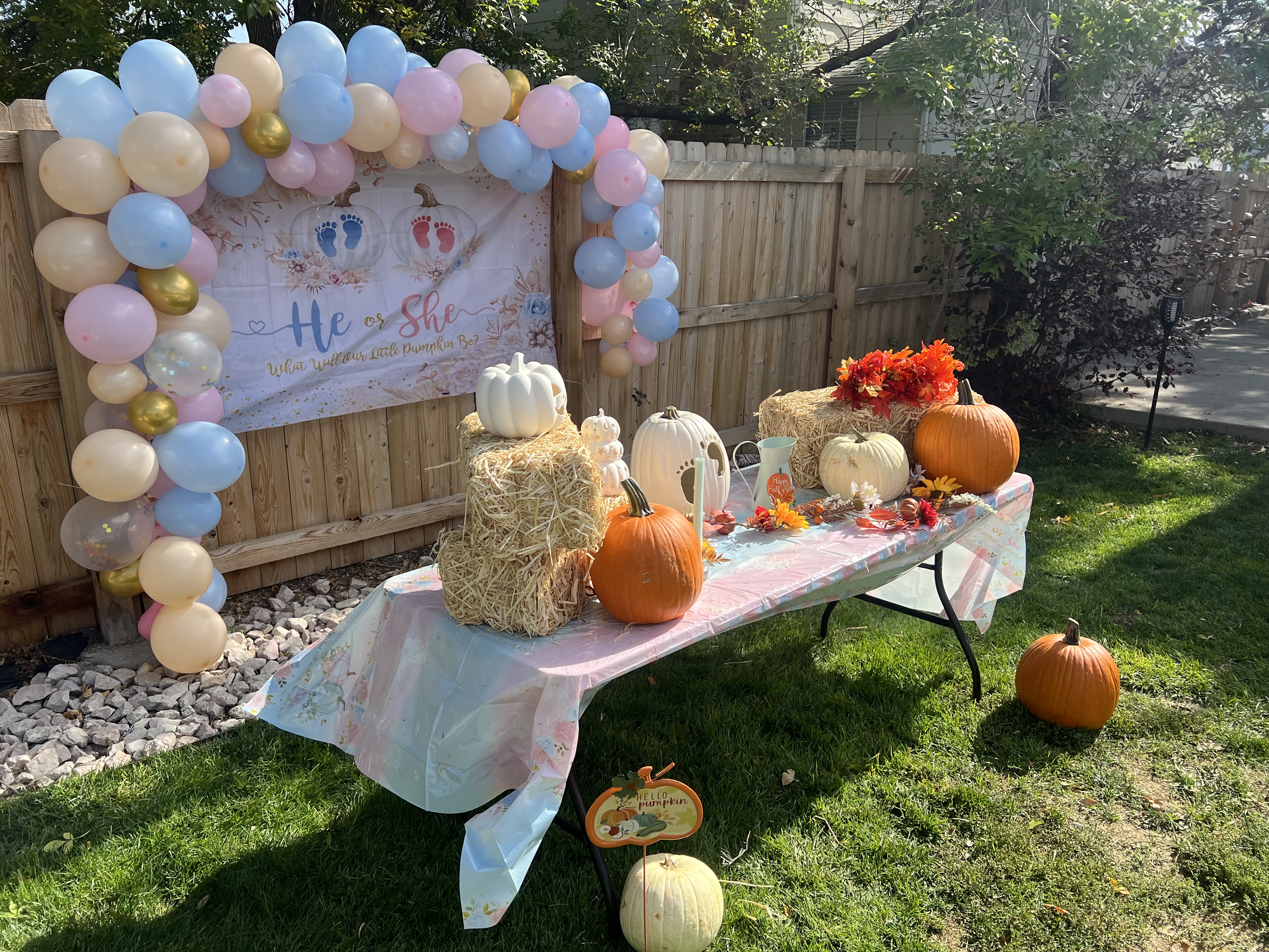 How to Host a Gender Reveal Party in Denver: Everything You Need to Know